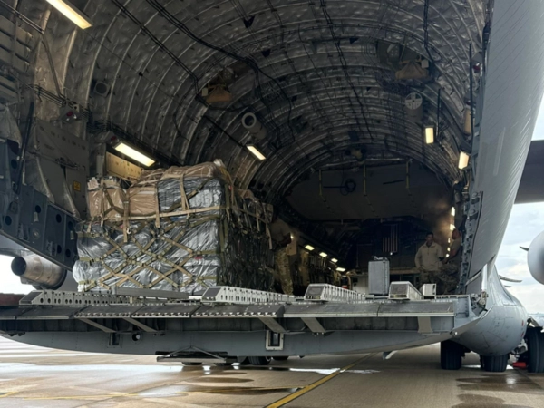 U.S. Air Force (C-17)​